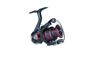 Daiwa 21 Ballistic MQ LT 1000D