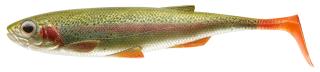 Live Rainbow Trout