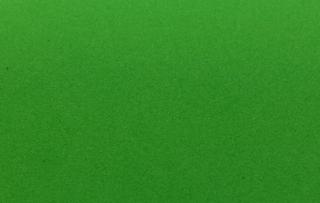 Insect Green
