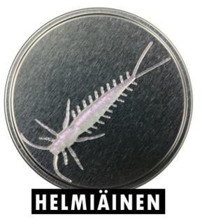 Microbite Arthropod väri Helmiäinen