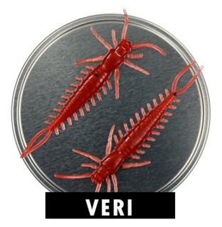 Microbite Arthropod väri Veri